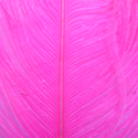 Перо страуса Wapsi Ostrich Herl Fluo Pink