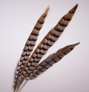     Hareline Ringneck Pheasant Tail Pair Natural