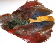    Veniard  Golden Pheasant Body Skin Washed Natural