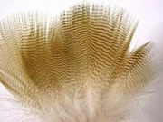 Перо древесной утки Hareline Lemon Wood Duck Feathers 