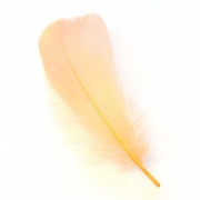 Перо гусиное маховое Veniard Goose Shoulder Soft Dyed Peach