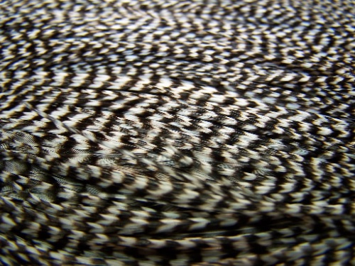 Седло петушиное (половинка) Whiting Bronze 1/2 Dry Fly Midge Saddle Grizzly