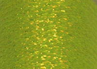  Lagartun Mini-Flat Braid 1/16" 1.5mm 5 yd Fluo Yellow