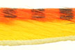 Кроличьи полоски Hareline Tiger Barred Rabbit Strips Black/Orange/Yellow