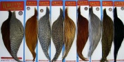   () Whiting Bronze Rooster Dry Fly Grizzly/Golden Olive