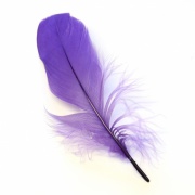 Перо гусиное маховое Veniard Goose Shoulder Soft Dyed Purple