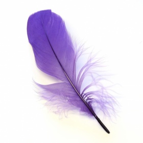    Veniard Goose Shoulder Soft Dyed Purple
