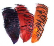     Wapsi Golden Pheasant Tippets Section Red