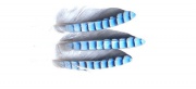 Голубое перо из крыла сойки Veniard Jay Wing Hackles Per