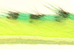 Кроличьи полоски Hareline Tiger Barred Rabbit Strips Mahi Green/Black/Chartreuse