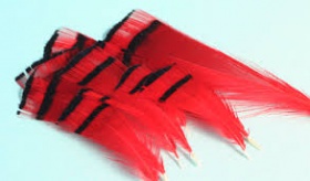    Veniard Golden Pheasant Tippets Medium Dyed Red