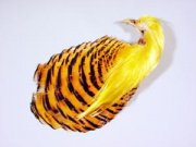 Полный скальп фазана Veniard Golden Pheasant #1 Complite Head Dyed Orange