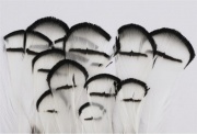 Перья алмазного фазана Veniard Amherst Pheasant Tippets Natural Large