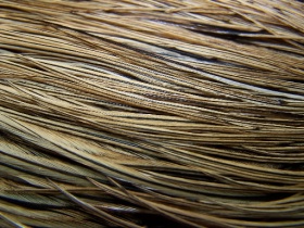 Седло петушиное (половинка) Whiting Bronze 1/2 Rooster Dry Fly  Saddle Golden Badger