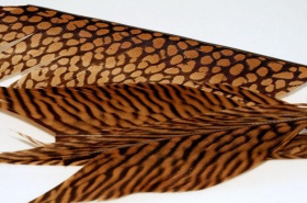     Wapsi Golden Pheasant Tail Pieces